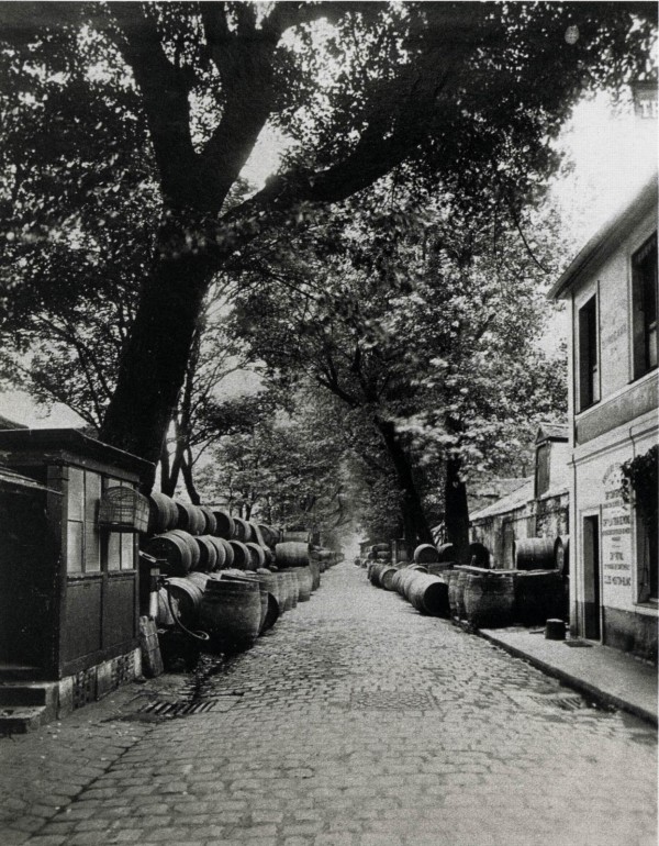 Старый Париж в объективе Эжена Атже (Eugene Atget)