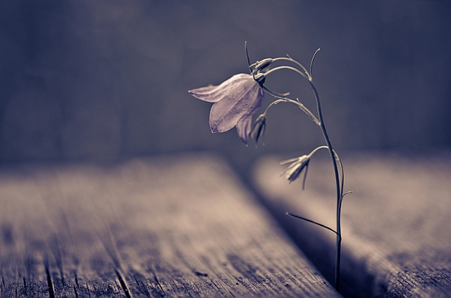 Финские пейзажи Микко Лагерстедта (Mikko Lagerstedt)