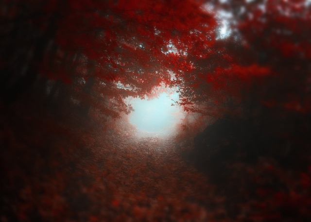 Пейзажная фотография Янека Седлара (Janek Sedlar)