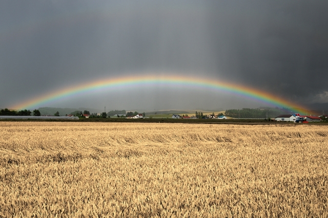 Ландшафтная сказка в фотографиях Кента Шираиши (Kent Shiraishi)