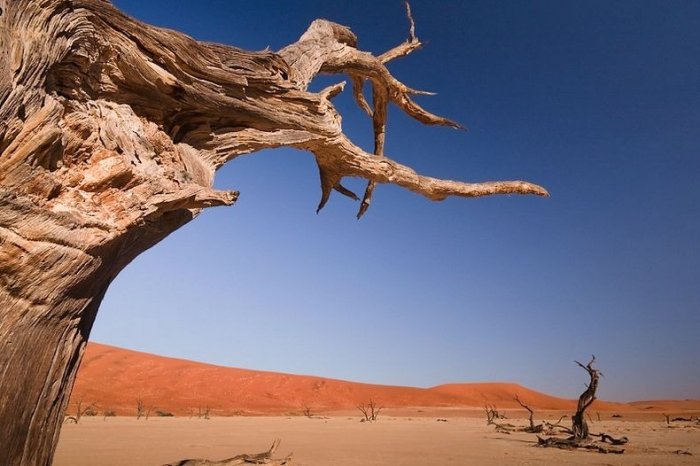 Сюрреалистические пейзажи Дэдвлей (Deadvlei)