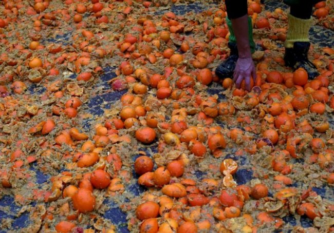 Ежегодный фестиваль по метанию апельсинов Carnival Battle