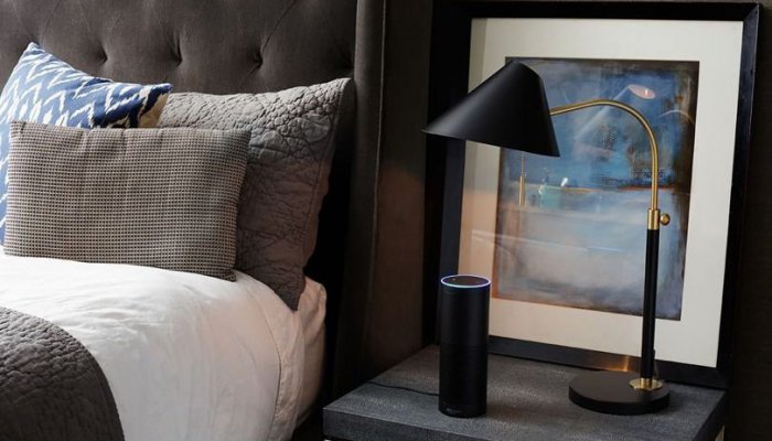 Умный гаджет Amazon Echo даст показания по делу об убийстве