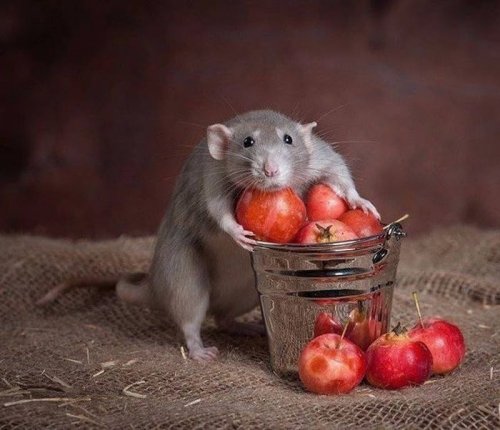 Эмоции и настроение в фотографиях