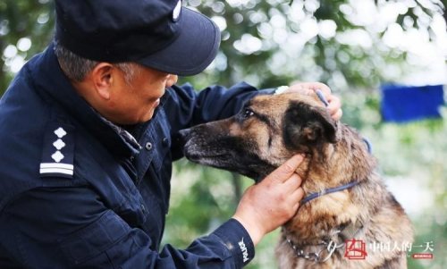 Китайский полицейский построил дом престарелых для старых полицейских собак