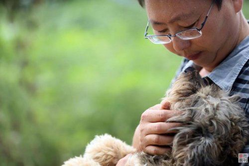 Китайский «Защитник собак» за последние 8 лет спас более 700 бродячих псов