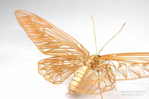 Невероятно реалистичные скульптуры насекомых