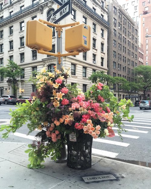"Цветочные вспышки" на улицах Нью-Йорка
