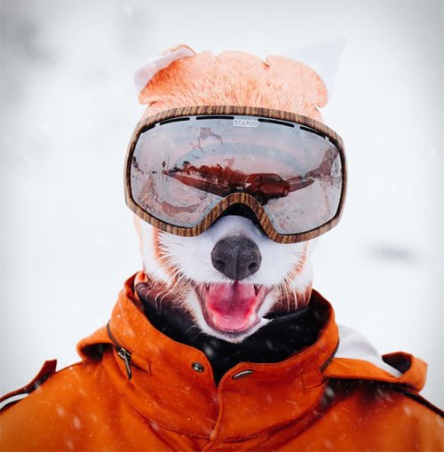 Реалистичные "звериные" лыжные маски от Beardo