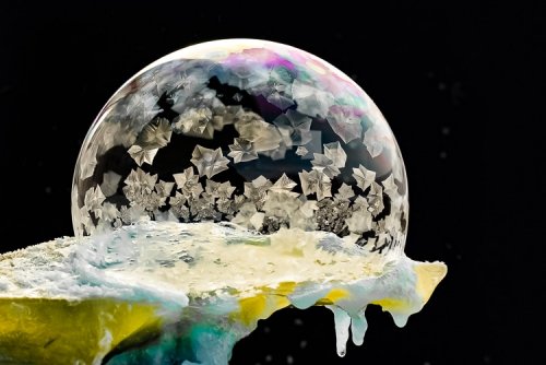Красота замёрзших мыльных пузырей в фотографиях Хоуп Картер
