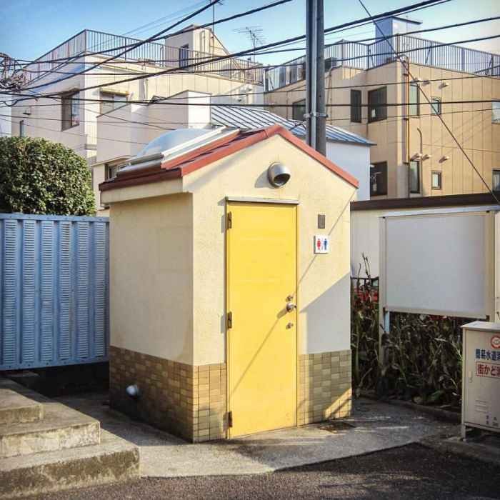 Причудливые японские общественные туалеты