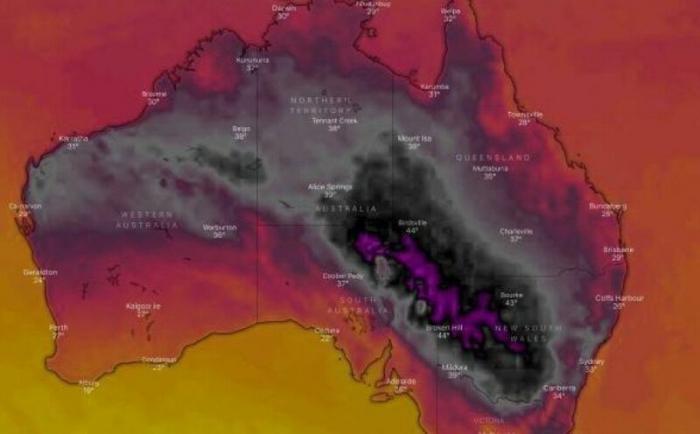 Аномальная жара, накрывшая Австралию, расплавила дороги и убила животных