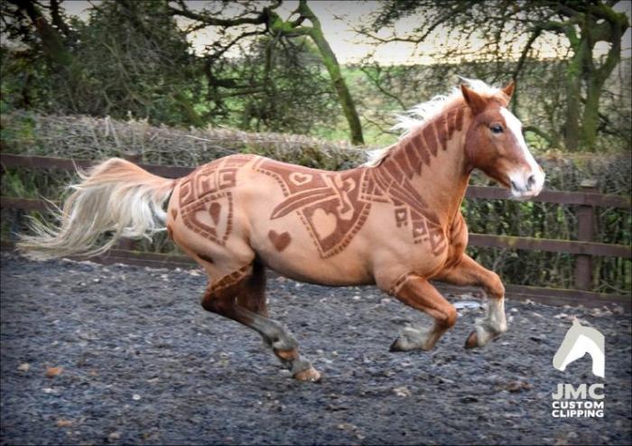 Парикмахер превращает лошадей в живые произведения искусства