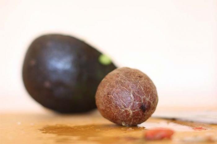 Косточки авокадо пустили на производство столовых приборов, разлагающихся за 8 месяцев (5 фото)