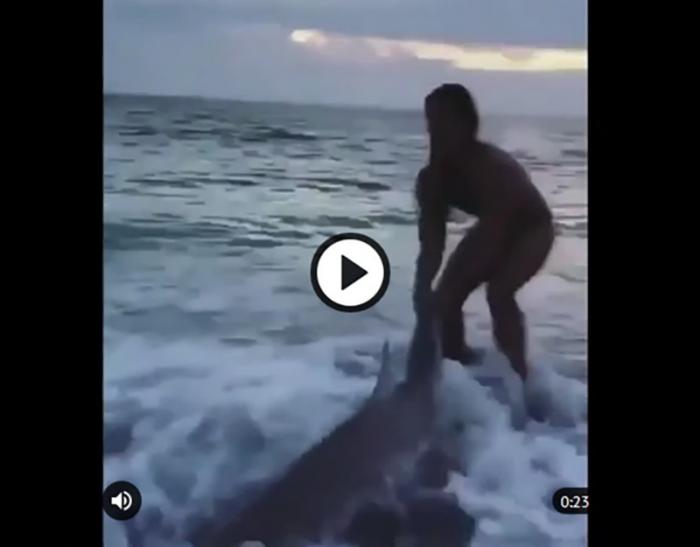 Девушка голыми руками спасла акулу