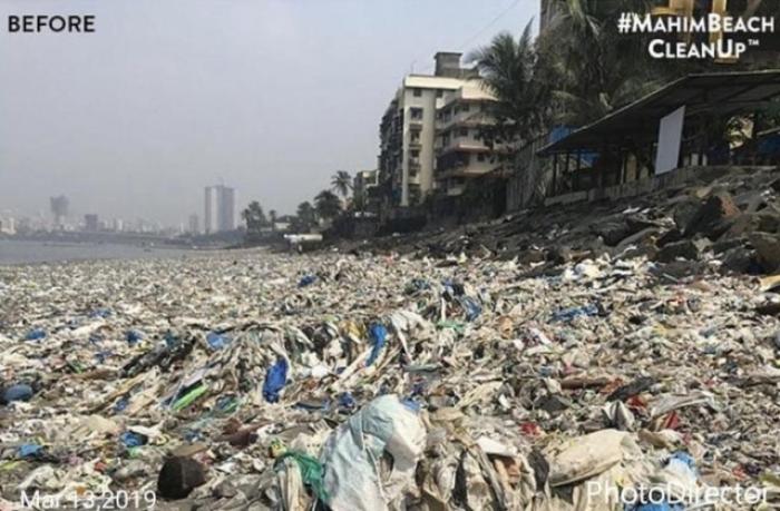 Добровольцы показали, как теперь выглядит пляж Махим Бич в Мумбае