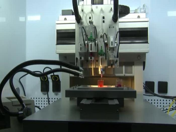 Израильские ученые напечатали на 3D-принтере сердце из человеческих клеток