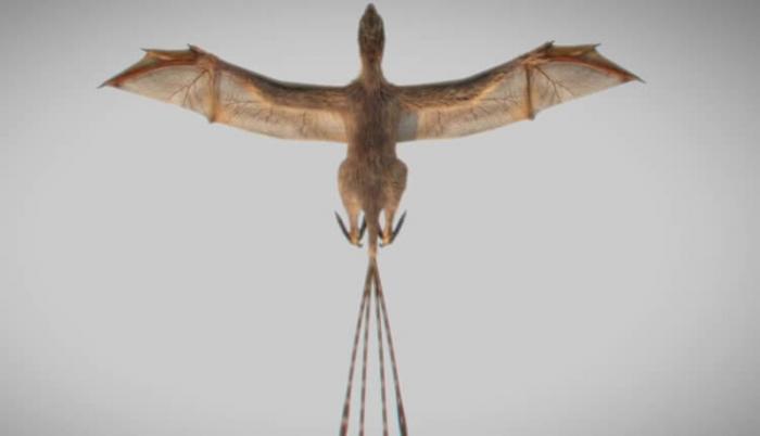 Эволюция провела эксперимент, создав динозавра с крыльями летучей мыши