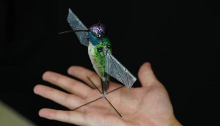 Как выглядит самый реалистичный робот-колибри?