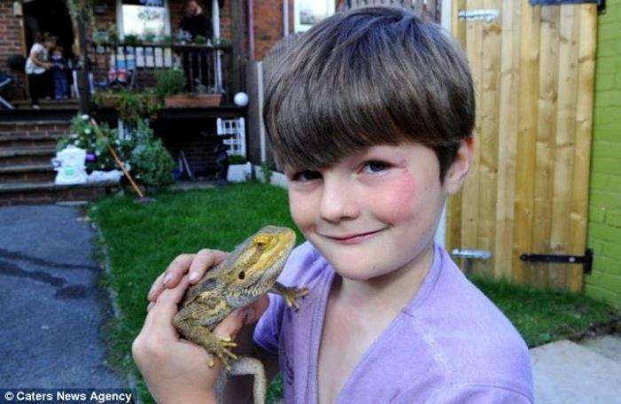 9-летний британец живет в доме с 94 ящерицами