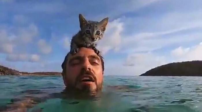 Кошка, которая обожает плавать в море вместе со своим хозяином