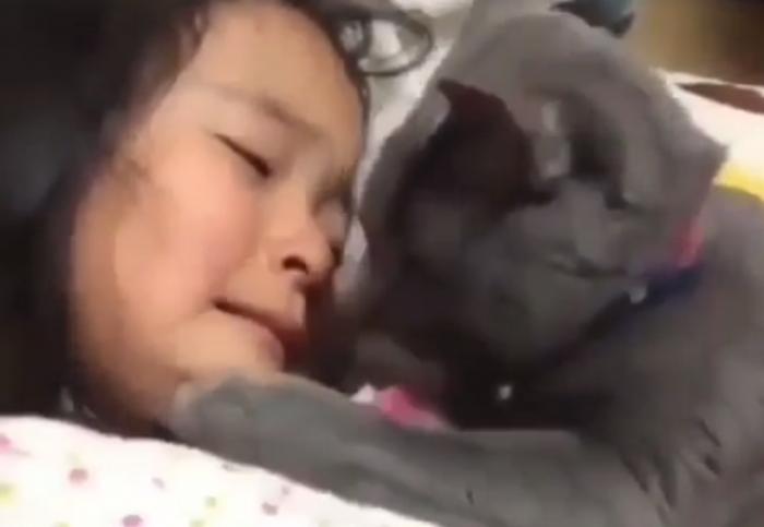 Не реви: кот успокаивает плачущую девочку