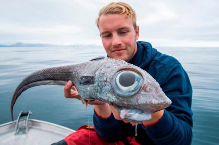 Студент из Норвегии отправился на рыбалку и выловил нечто инопланетное