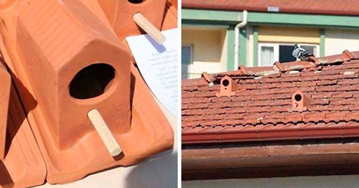Черепичные домики для птиц на крышах турецких домов