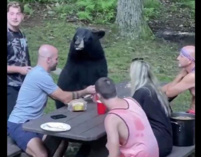 Не только русские дружат с медведями