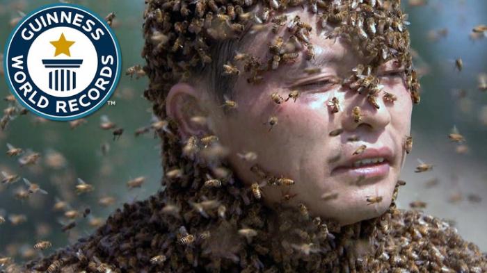 Китаец «надел» самую тяжелую в мире мантию из пчел