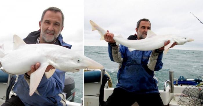 Мужчина поймал очень редкую белую акулу