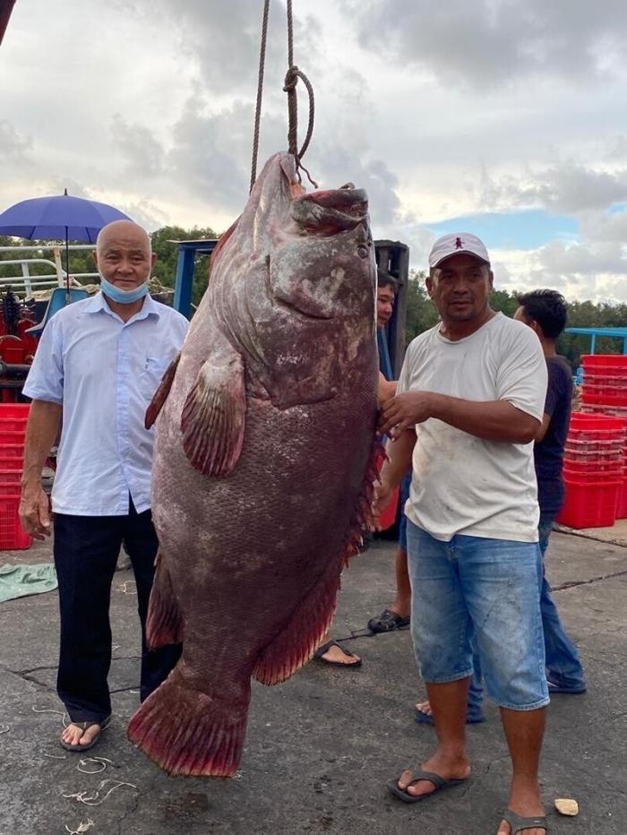 В Малайзии мужчина поймал рыбу весом в 161 кг