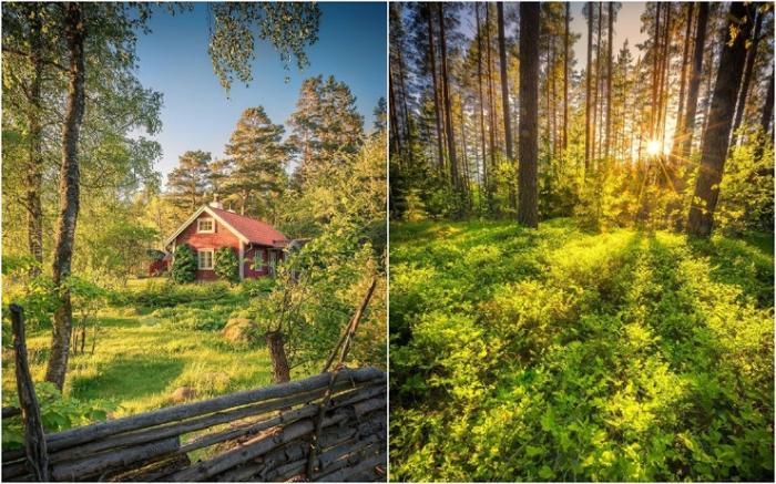 Природа Швеции на фотографиях Кристиана Линдстена