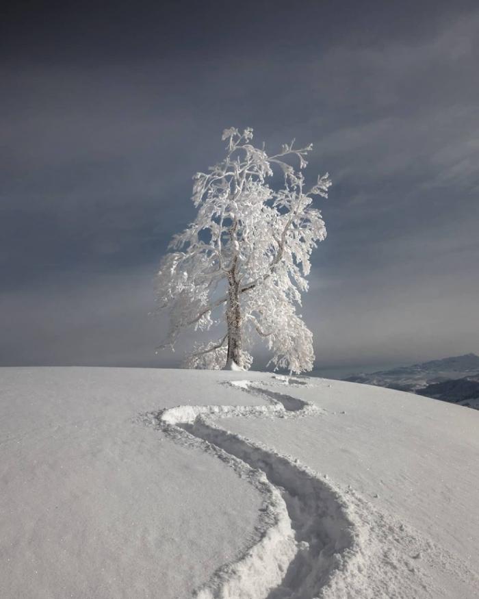 Природа Швейцарии на фотографиях Синха Боксбергера