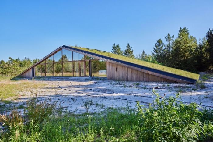 Треугольный загородный дом с живой зеленой крышей в Дании