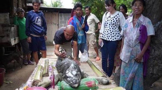 В Таиланде родилось животное-мутант, представляющее гибрид буйвола с крокодилом