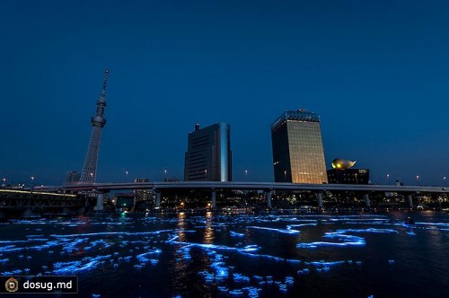 100 000 голубых сфер в реке Токио