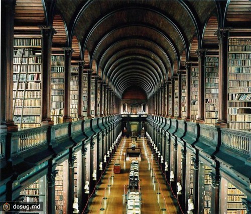 Самый красивый книжный магазин в мире