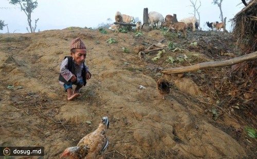 Чандра Бахадур Данги cамый маленький человек в непальской деревне