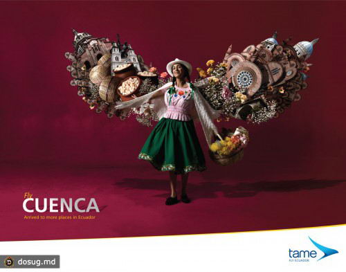 Креативная реклама: Tame Ecuador Airlines