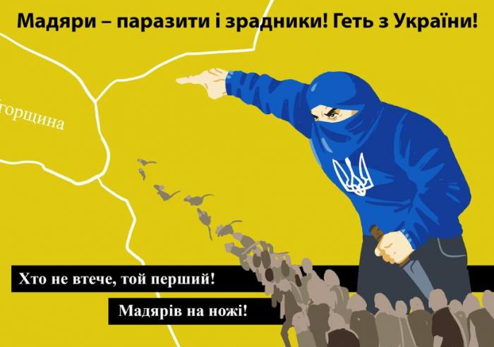 Украинские националисты как зеркало украинской политики