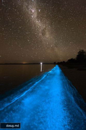 Свечение Гипслендских озер Австралии