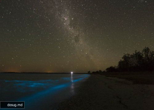 Свечение Гипслендских озер Австралии