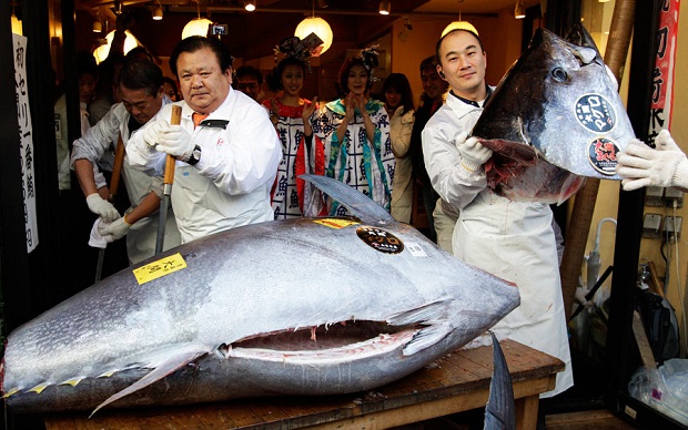 Японский ресторан купил тунца за 1,8 миллиона долларов