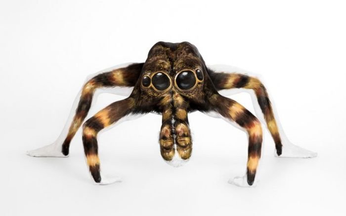Девушка-паук от художницы Эммы Фэй