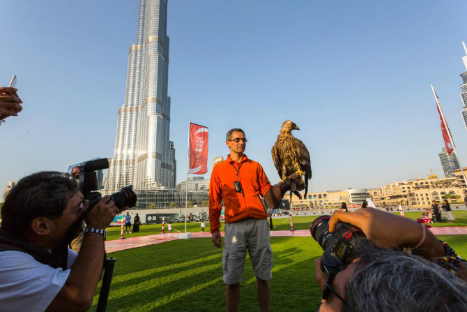 Императорский орел заснял на камеру свой полет с небоскреба Бурдж-Халифа