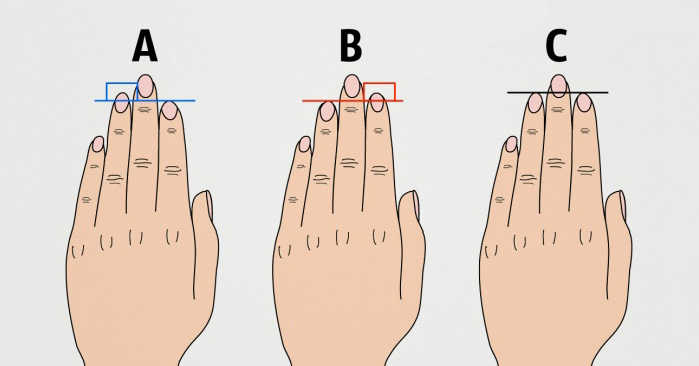 Вот что длина пальцев руки говорит о вашем характере