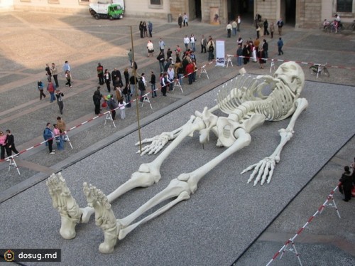 Гигантский скелет Gino De Dominicis