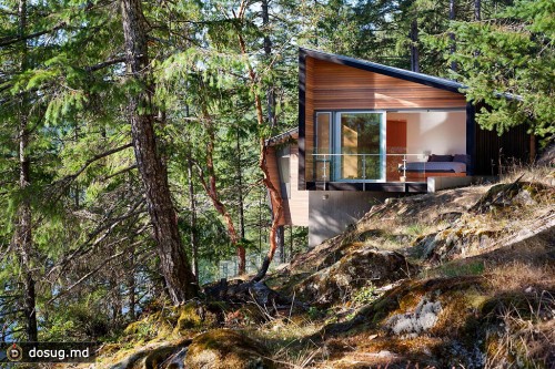 Многоуровневый дом в лесу от BattersbyHowat Architects