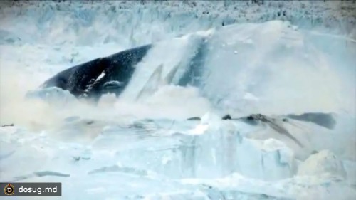 От Гренландии откалывается самый большой кусок льда